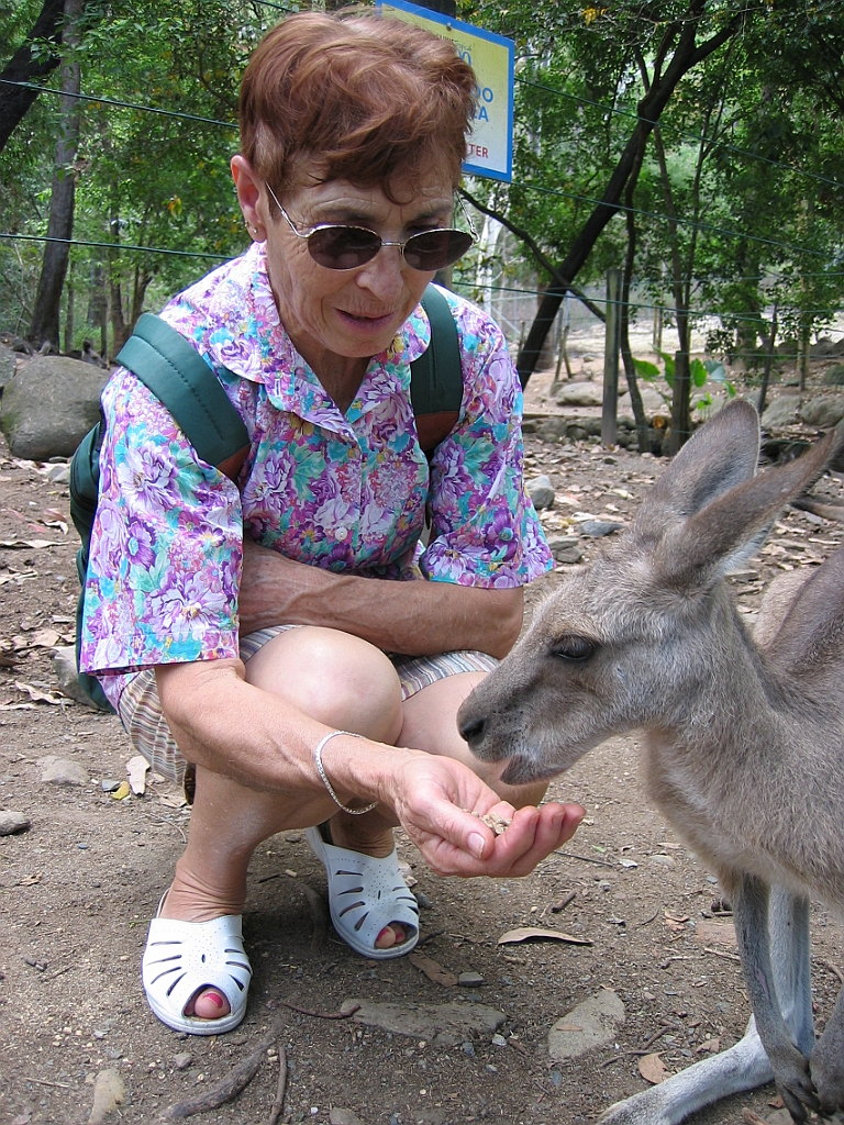 045 Cairns Tropical Zoo.jpg